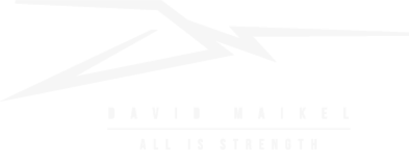 Logo David 2